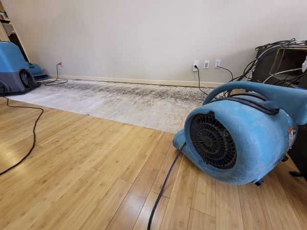 Water Damage Mitigation in Las Vegas