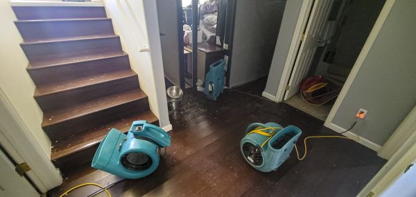 Water Damage Remediation in Las Vegas