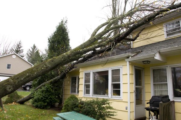 Hurricane Damage Repair in Las Vegas
